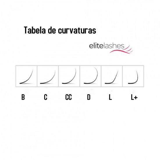 3D Leques